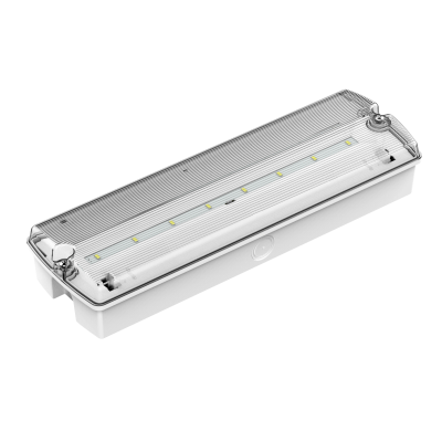 Emergency fitting DP-638 LED/3h M/NM IP65  DALI