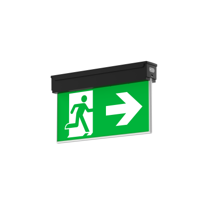 EX2B-DA-3H 3W 3h IP65 black Inc. 2 pcs UP + Down double sided pictograms black